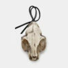 AFT1 Cat Skull Offering -Cheap Disturbia Shop AM66 Cat Skull Offering 01 800x