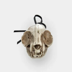 AFT1 Cat Skull Offering 14 AFT1 Cat Skull Offering -Cheap Disturbia Shop AM66 Cat Skull Offering 04 800x