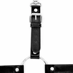 YHU1 Tether Leg Harness -Cheap Disturbia Shop Tether harness 2 D1 800x