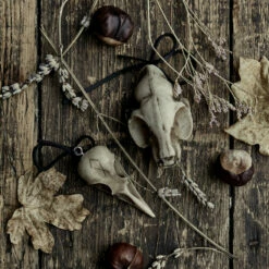 AFT1 Cat Skull Offering 11 AFT1 Cat Skull Offering -Cheap Disturbia Shop a offering 38df304d fd44 439b aec6 5088983291e6 800x